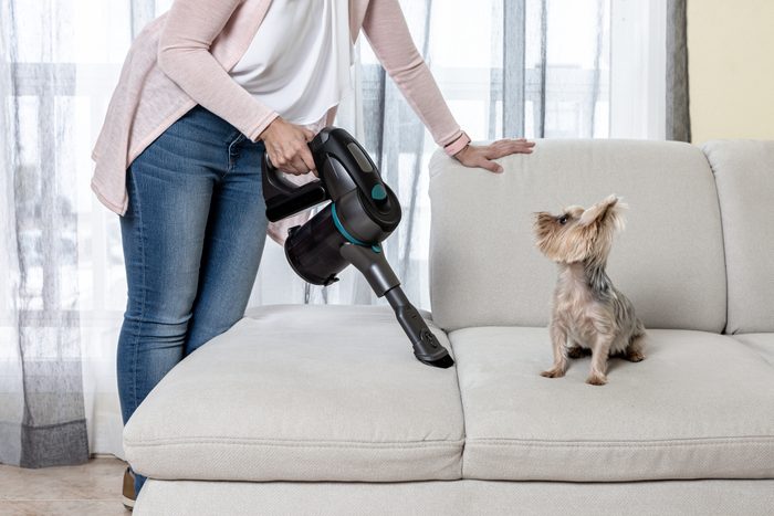 Woman with vacuum cleaner cleaning couch with dog