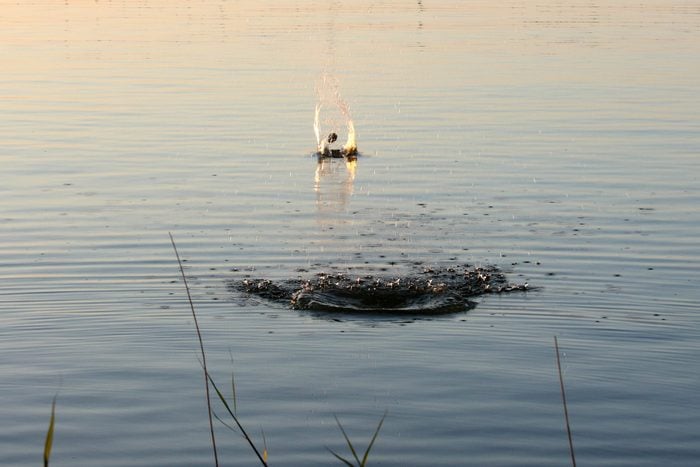 Stone Skimming - Across the lake