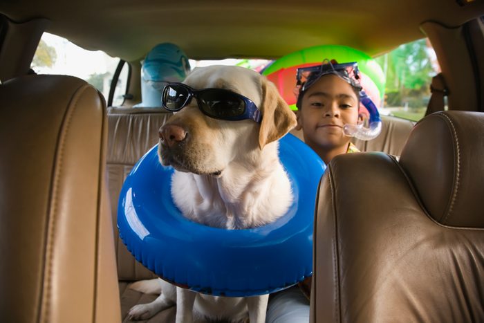 Hispanic boy and dog with beach gear in backseat of car