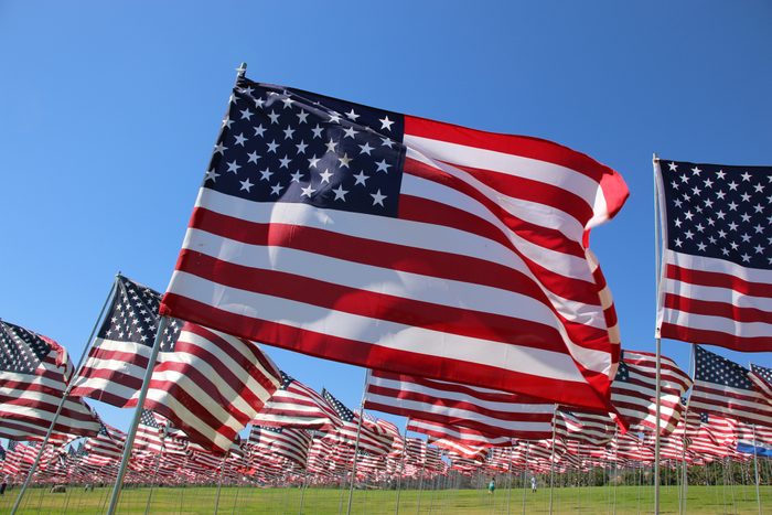 American flags blown in the wind in Malibu California