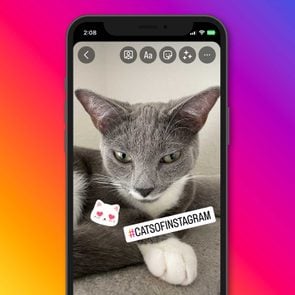 Image of the Instagram Stories interface on an iPhone