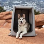 Diggs Just Launched Enventur—the First Ever Inflatable Dog Crate—to Help You Save Space While Traveling With Pets