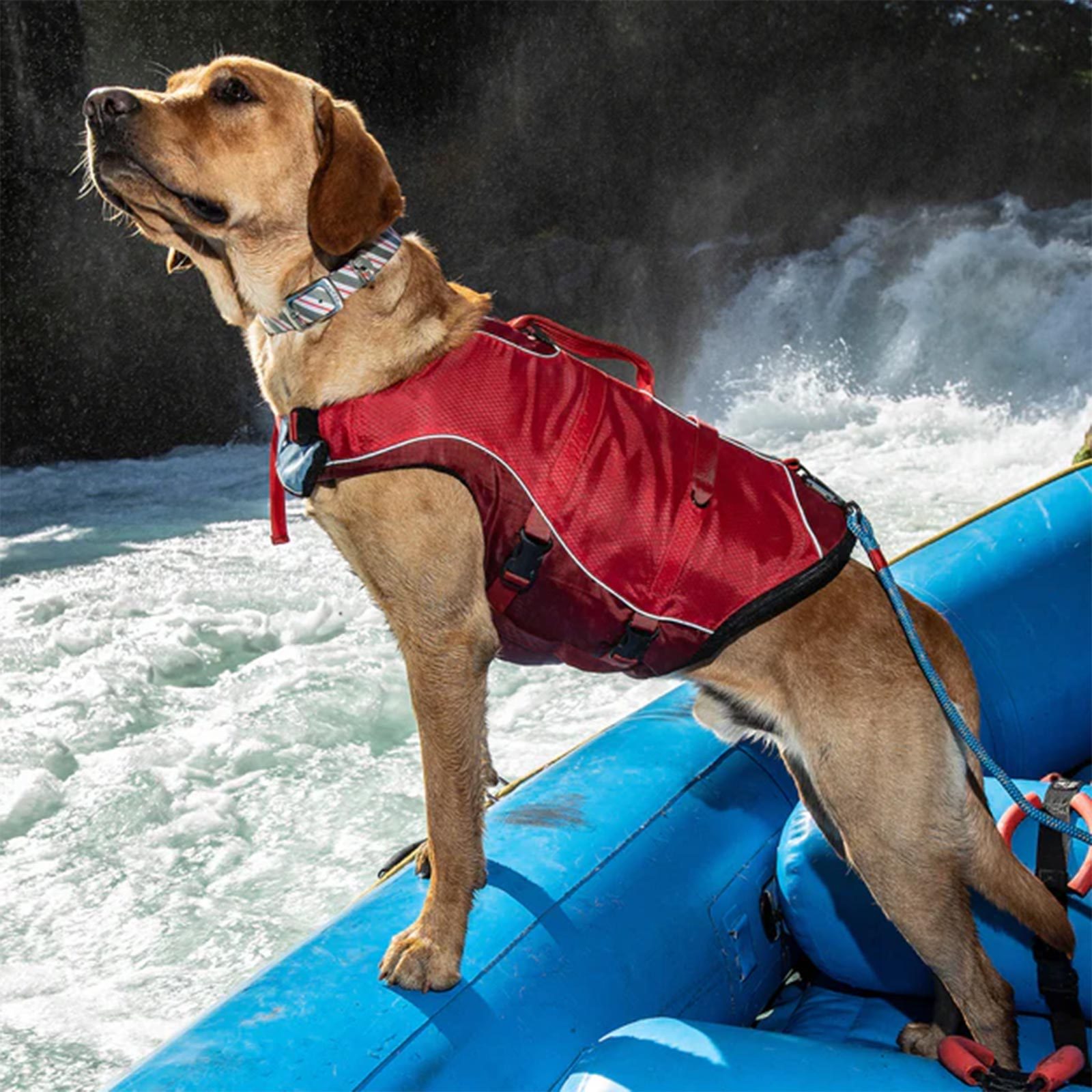 Vivaglory Dog Life Jackets with Extra Padding Pet Safety Vest for
