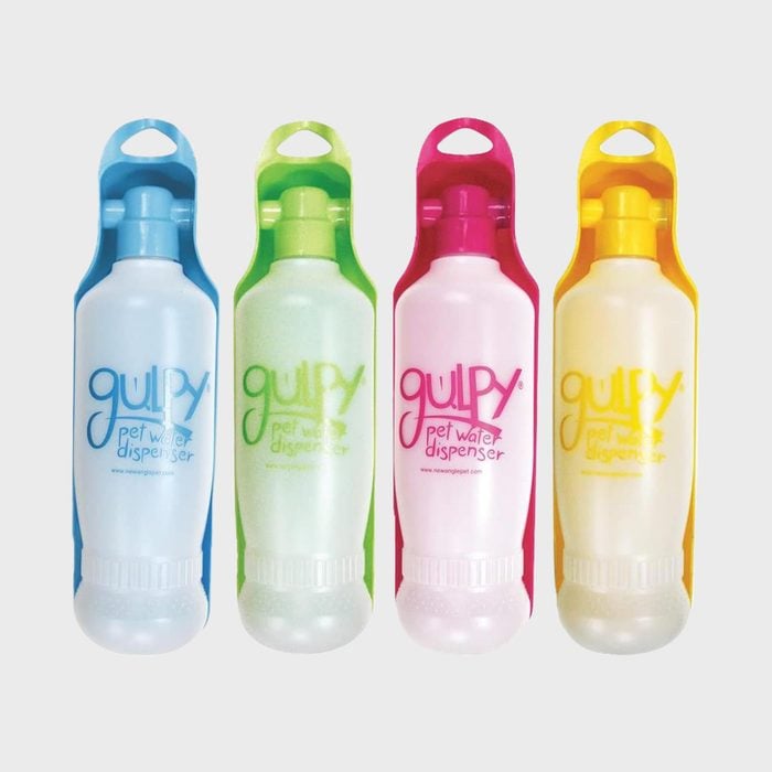 Gulpy Water Bottle For Dogs