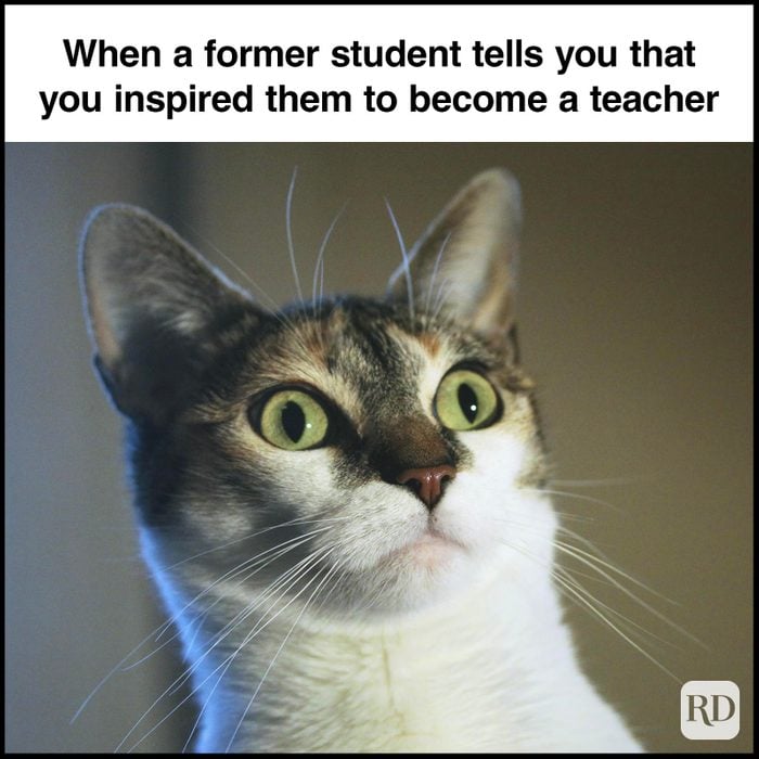 Teacher Memes 19