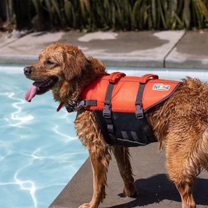 Dog Life Jacket Ecomm Via Amazon