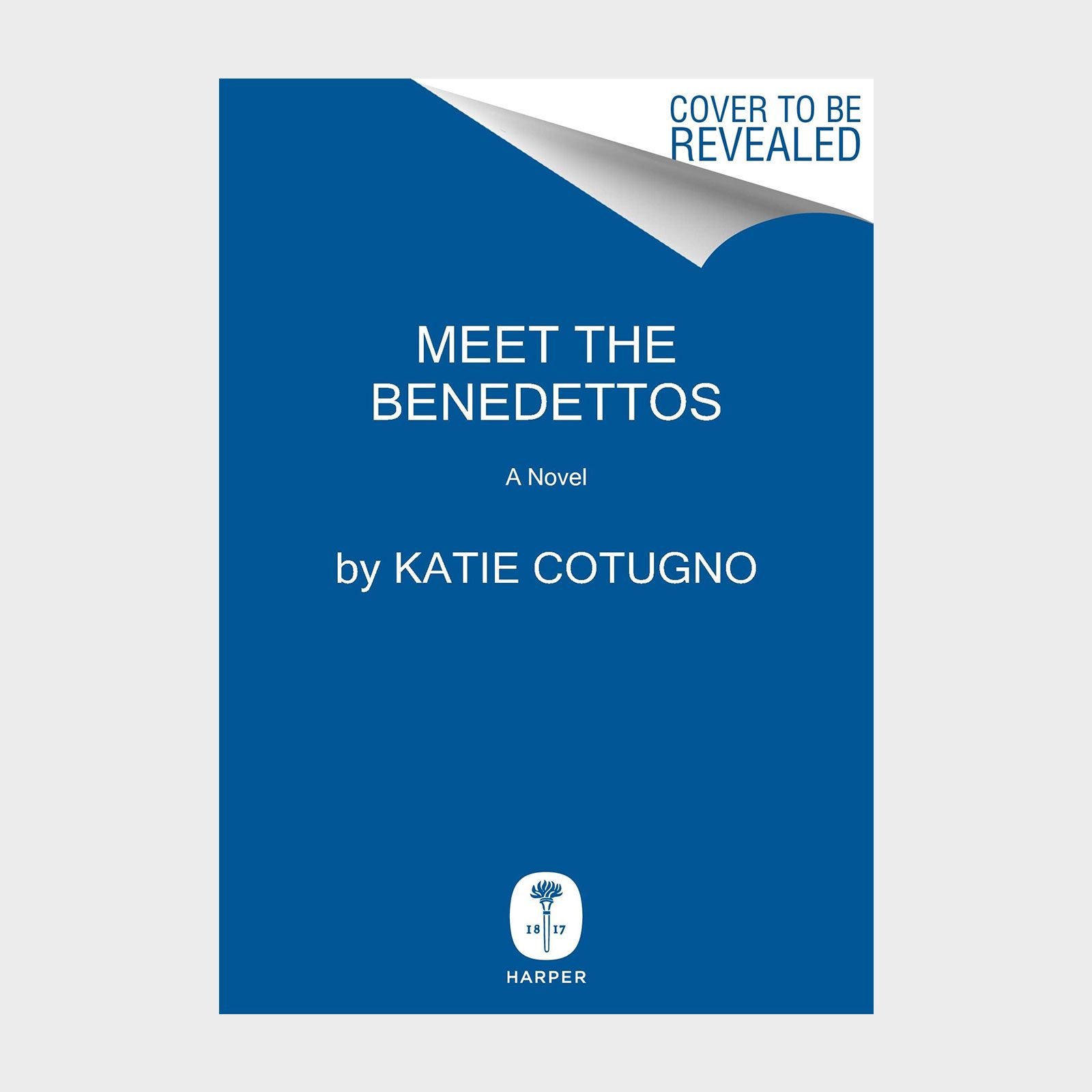 Meet The Benedettos Book