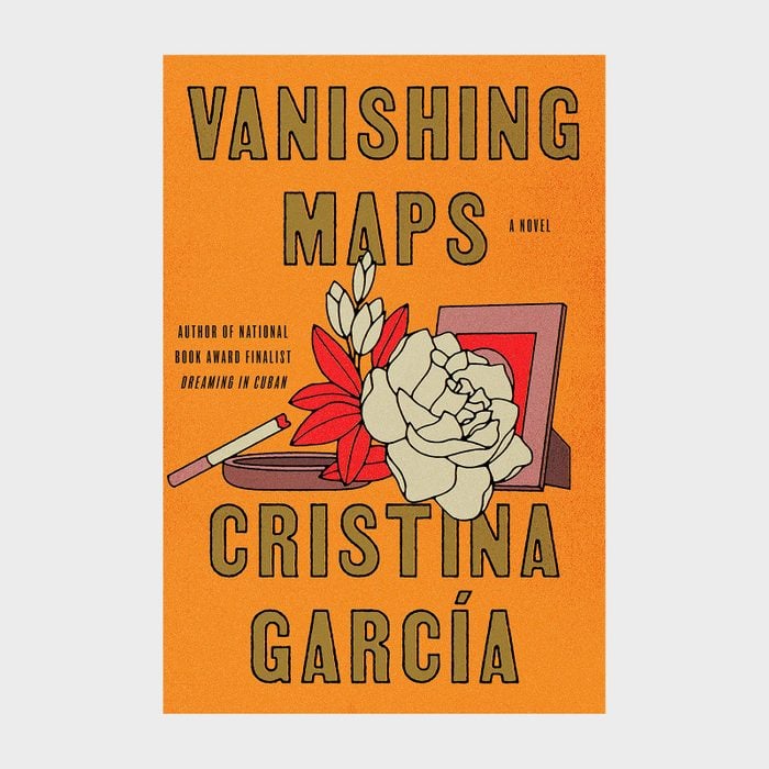 Vanishing Maps Book