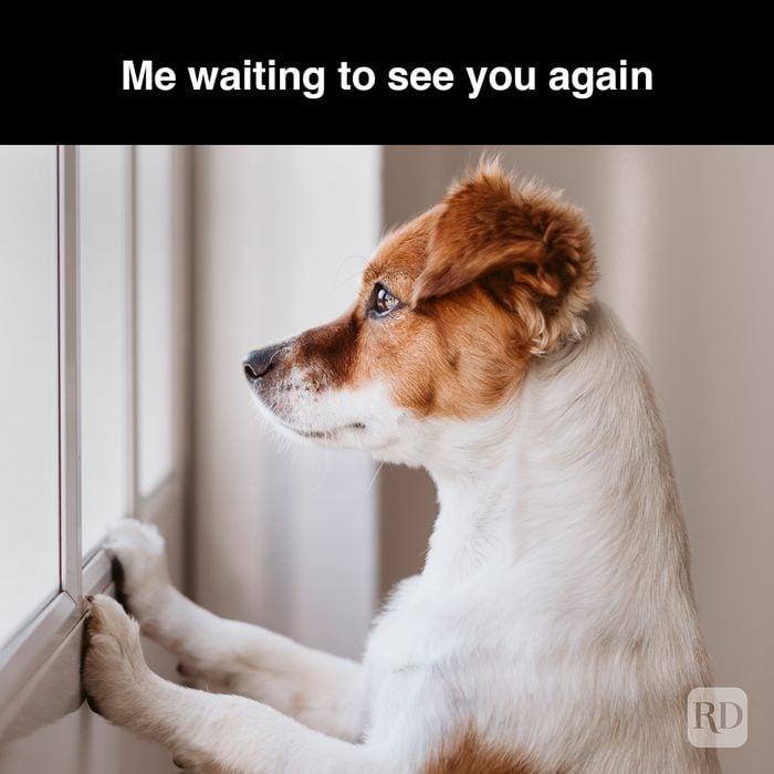 1 Me Waiting To See You Again Meme Gettyimages 1226191385