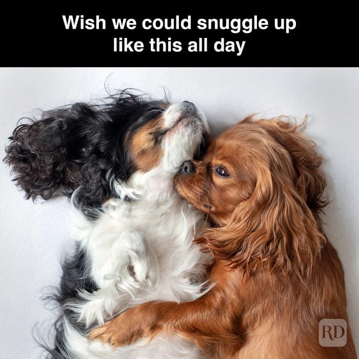 14 Wish We Could Snuggle Up Like This All Day Gettyimages 1158816217