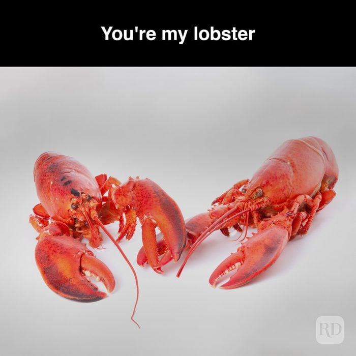 6 You're My Lobster Gettyimages 471288375