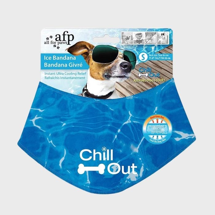 All For Paws Chill Out Bandana