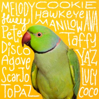 Bird names handwritten on an image of a pet bird