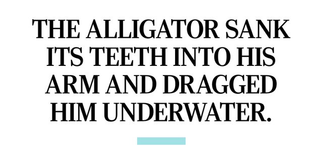 The alligator sank its teeth into his arm and dragged him underwater.