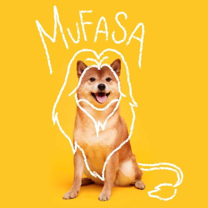 Disney Inspired Dog Names Mufasa