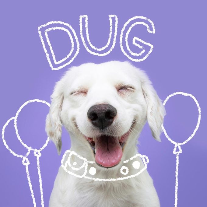 Disney Inspired Dog Names Dug