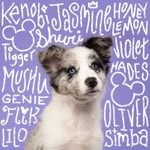 184 Magical Disney-Inspired Names for Your Dog