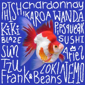 Fish names handwritten on an image of a fish