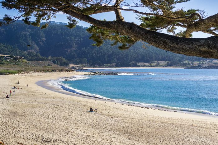 Carmel River State Beach on a sunny day, Carmel-by-the-Sea, Monterey Peninsula, California