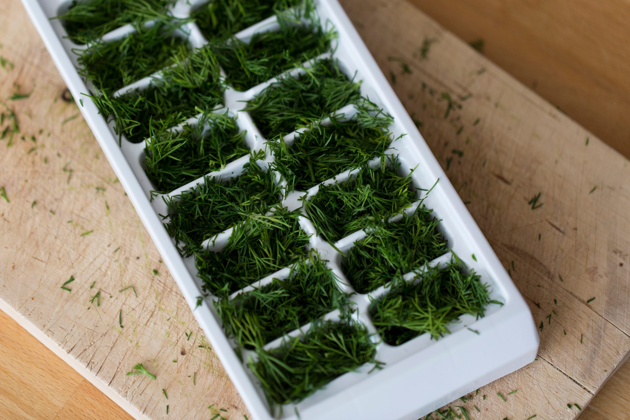 Fresh green chopped herbs in ice cube tray