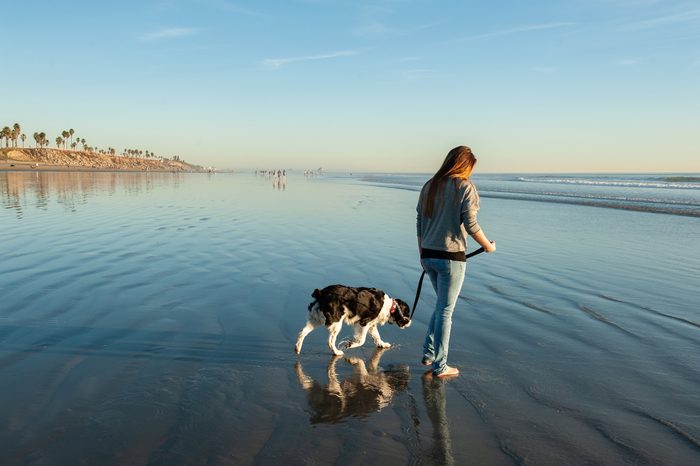 Teen Girl Walking Dog On Ocean Beach