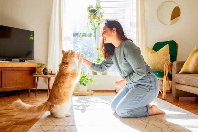 Full length shot of an attractive young woman kneeling in her living room and teaching her cat tricks