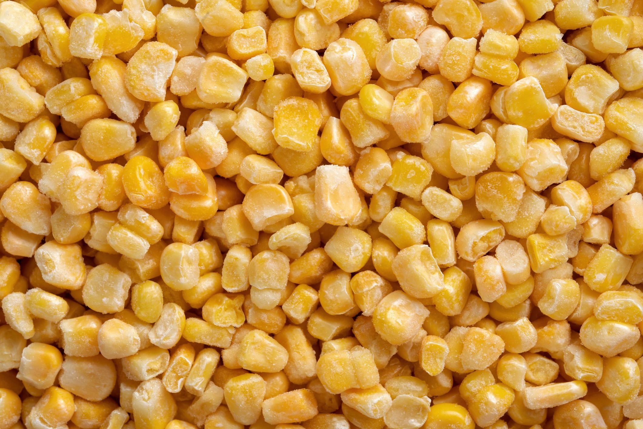 bulk of yellow corn grains texture macro