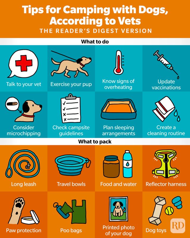 Tips For Camping With Dogs Infographic