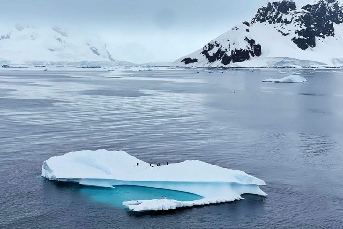 landscape of ice burg in Antartica