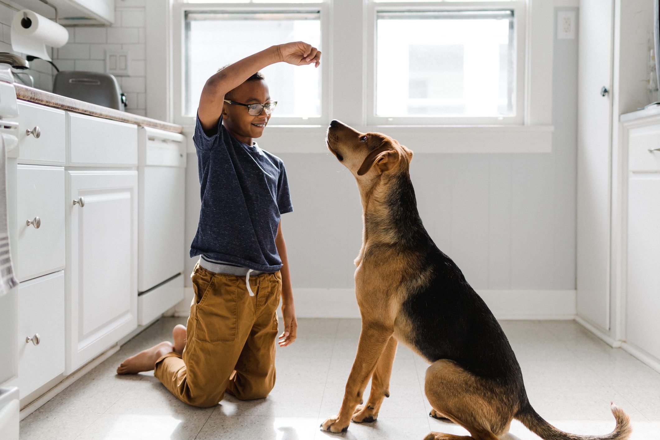 Dog Behavior Training: Why Your Dog Digs and How to Stop It