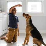 How to Train a Dog: A Guide to Training Your Pup in Basic Commands, Cute Tricks and More