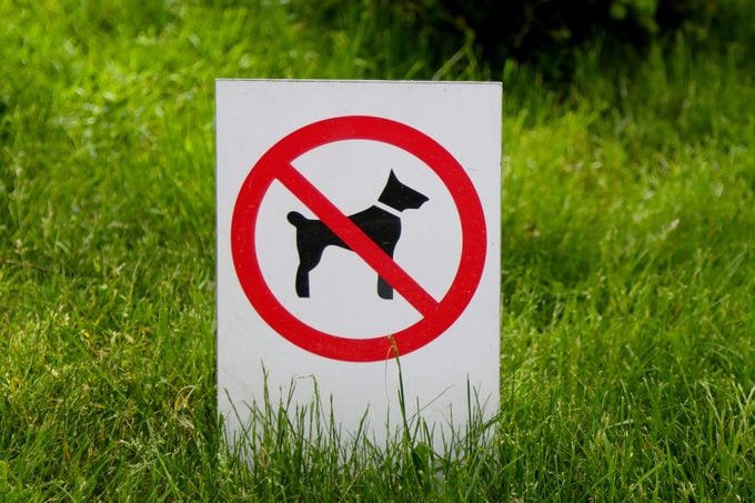 Sign prohibiting walking dogs.