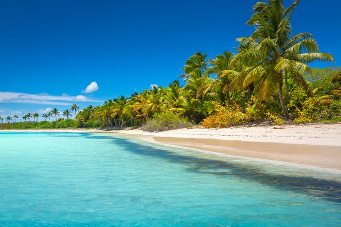 Tropical paradise: idyllic caribbean beach with palm trees, Punta Cana, Saona