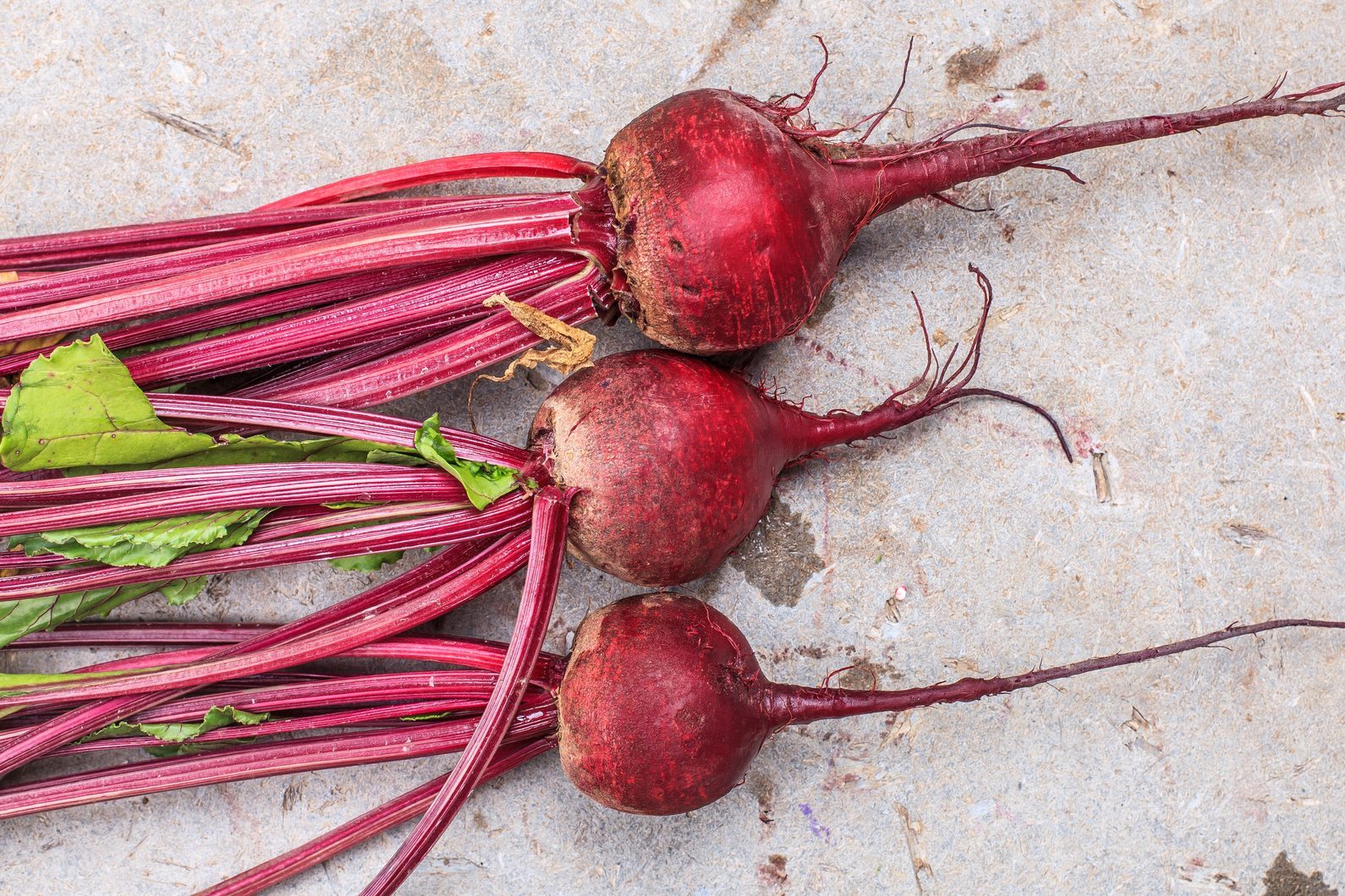beets on a concrete background