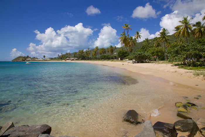 Palm trees and beach, Morris Bay, St. Mary, Antigua, Leeward Islands, West Indies, Caribbean, Central America