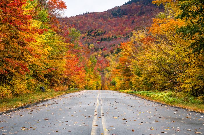 Gorgeous Fall Colors along a Scenic Mountain Road