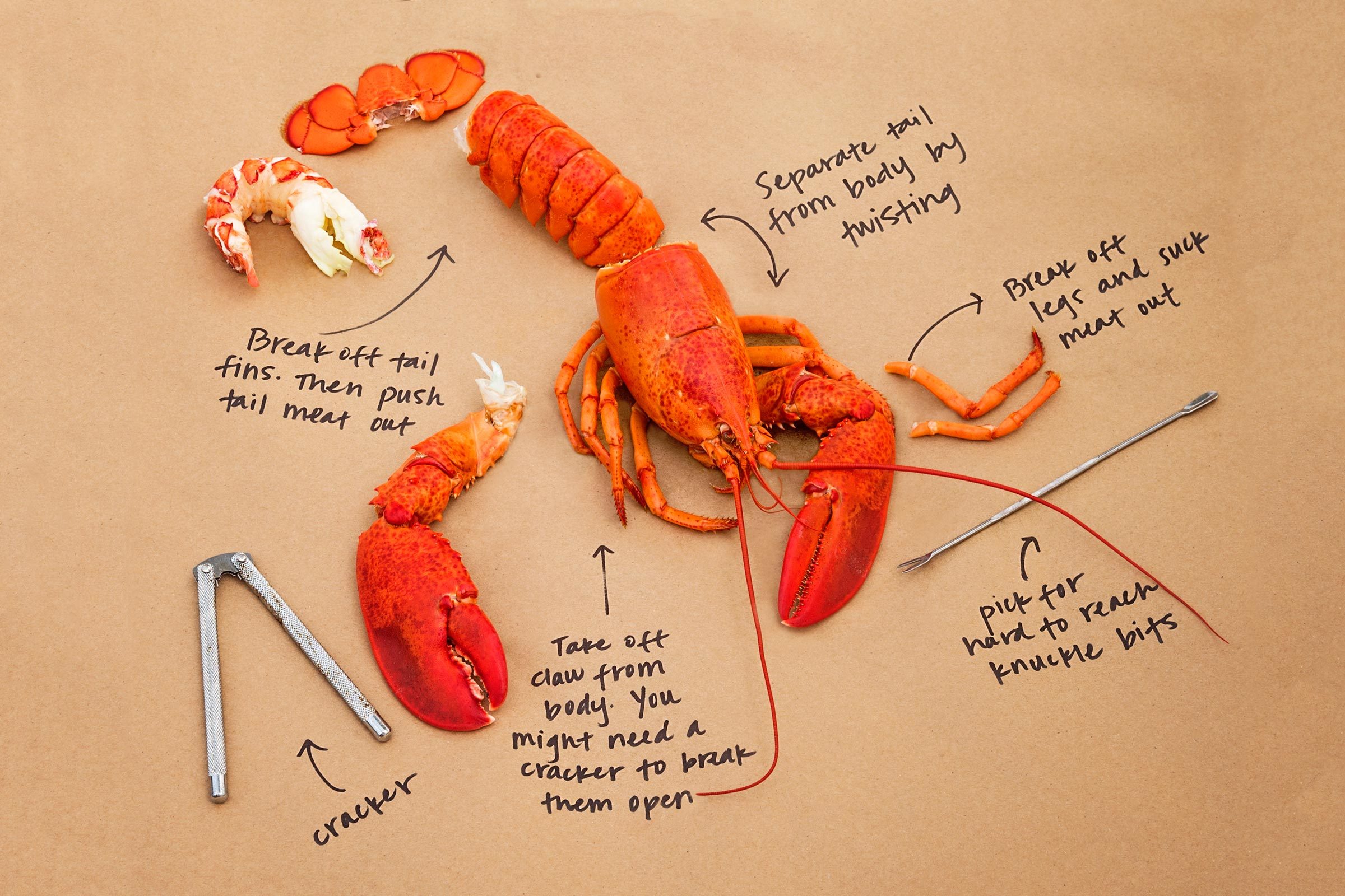 Don't Throw Away the Lobster Shells!