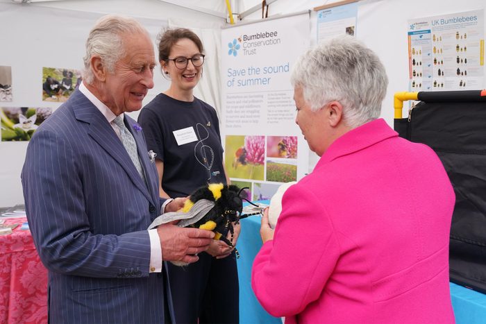King Charles III is presented with a stuffed toy bumblebee by Gill Perkins (R) CEO of the Bumblebee Conservation Trust and Rosalind Shaw (C) Project Officer at the Bumblebee Conservation Trust, during a reception to celebrate four decades of the Prince of Wales's Charitable Fund at Clarence House on July 12, 2023 in London, England.