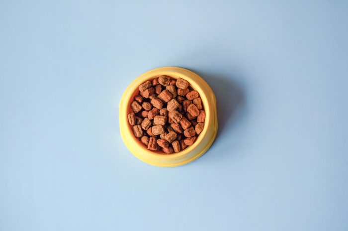 Yellow bowl on a blue background with pet food