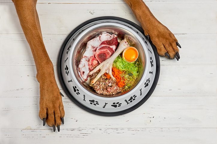 Raw Meat, Vegetables, Eggs and Seeds make up a Natural fresh dog food in bowl on a white wooden floor background and dog paws around the bowl