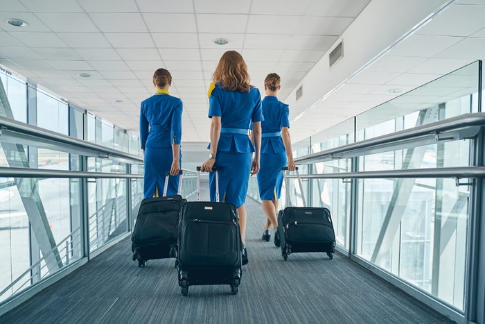 Back view of three young slim stewardesses pulling their trolley bags along the airport terminal