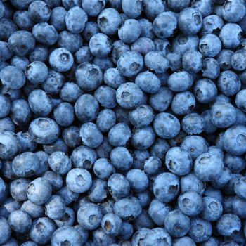Blueberries full frame