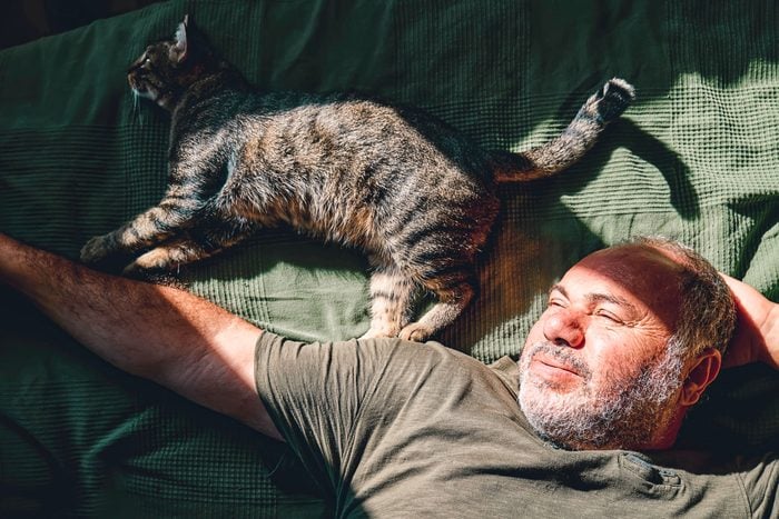 Man Lying On A Bed And Playing With His Gray Tabby Cat