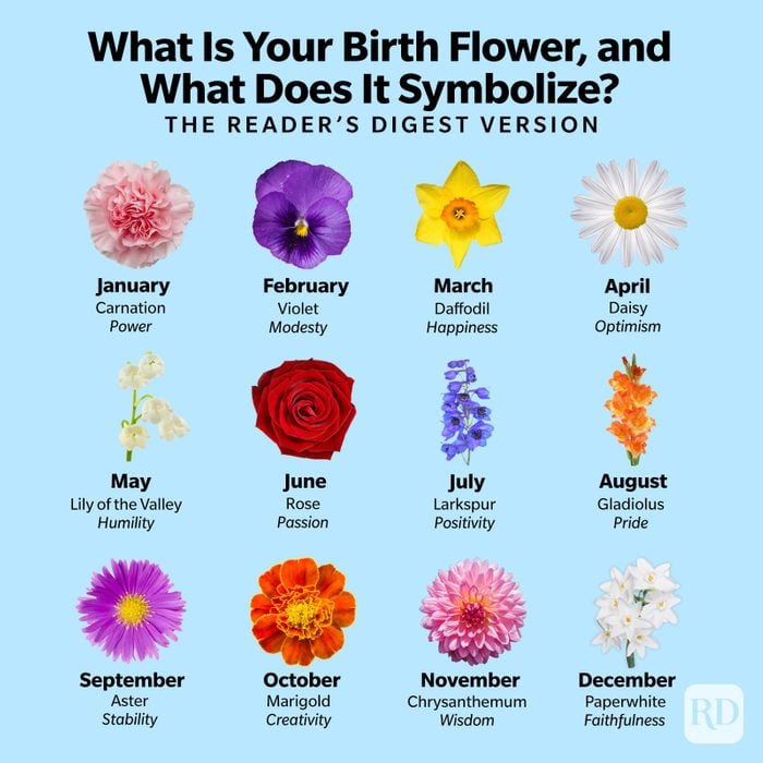 Rd What Are Your Birth Flowers And What Do They Mean Infographic Gettyimages12