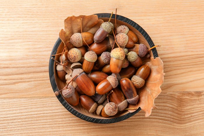 Acorns And Oak Leaves in Bowl On Wooden Table, Top View