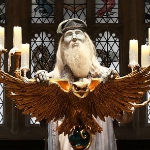 Albus Dumbledore, Wore by Michael Gambon in the Goblet of Fire, seen displayed during a media preview of Warner Bros. Studio Tour Tokyo The Making Of Harry Potter