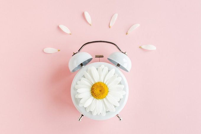 white flower on top of a white clock on pink background with extra flower petals nearby