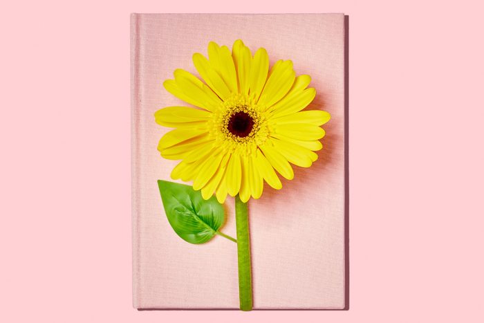 a full yellow flower blooming on a pink book on pink background