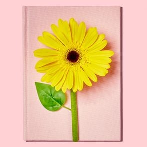 a full yellow flower blooming on a pink book on pink background