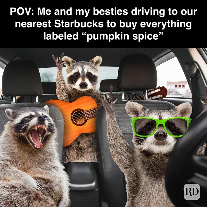 Rd Meme 32 Pumpkin Spice Memes You Willl Totally Fall For 21
